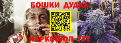 мдпв Будённовск