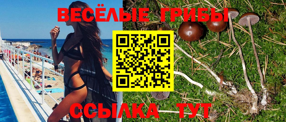 Псилоцибиновые грибы ЛСД Королёв
