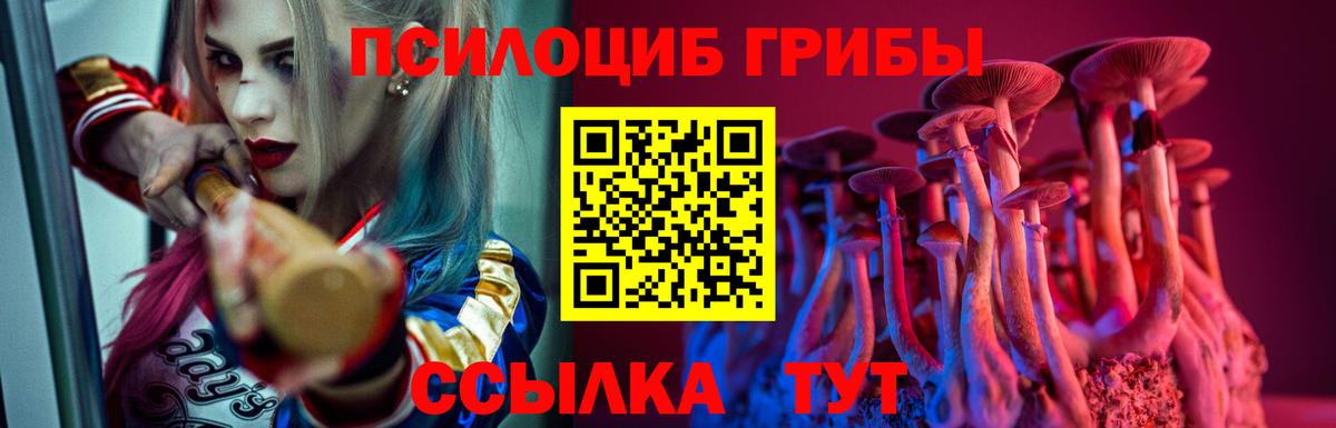 Королёв  Галлюциногенные грибы GOLDEN TEACHER  Вход с VPN 